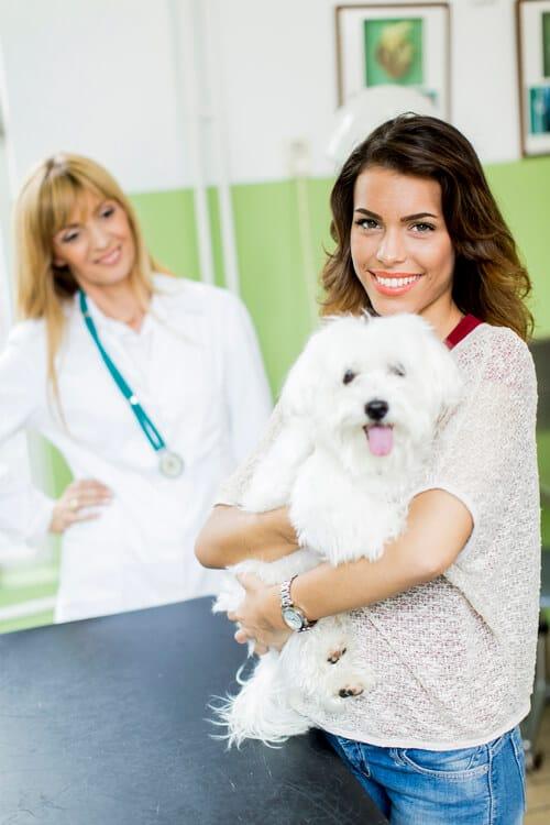 Atendimento veterinário Unimev